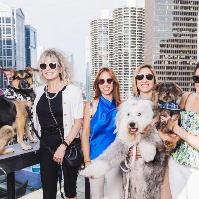 Third Annual LH Wooftop Pawty: Dog‑Friendly Rooftop Event at LondonHouse Chicago