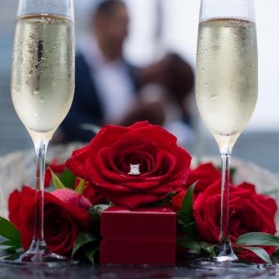 Valentine’s Igloos and Cupola Proposals at LH Rooftop