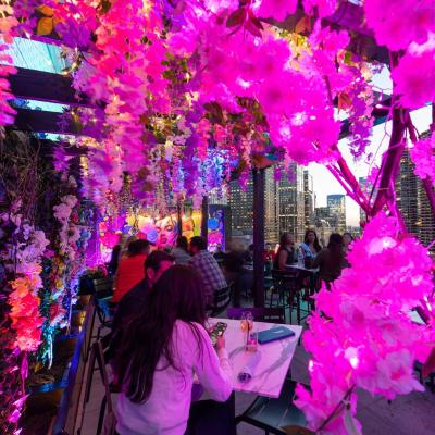 Luminescence at LH Rooftop