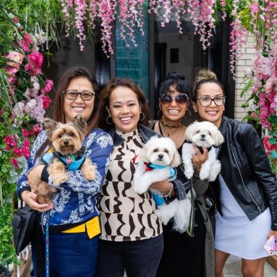 Second Annual LH Wooftop Pawty: Dog-Friendly Rooftop Event at LondonHouse Chicago